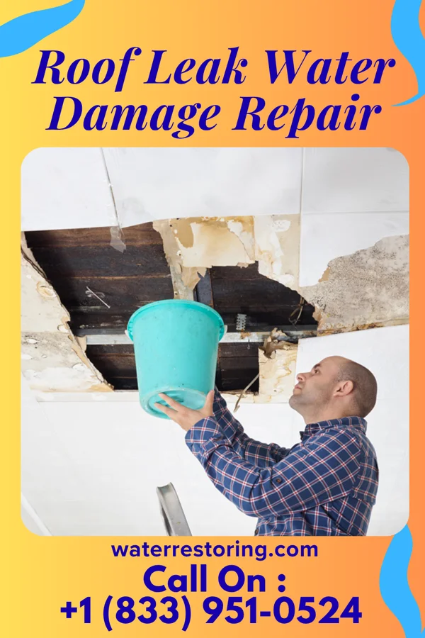 Roof Leak Water Damage Repair in Beloit, WI